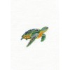 DMC - Swimming Tortoise Cross-Stitch Kit