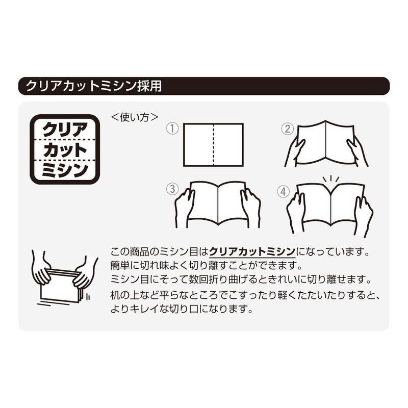 ヒサゴ ミニチケット名刺(8枚入) BX02S