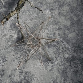 House Doctor, Ornament, star, champagne, metal, length: 14 cm, height: 25 cm