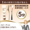 Salon de Pro Hair Manicure Speedy 5 Natural Brown 100g