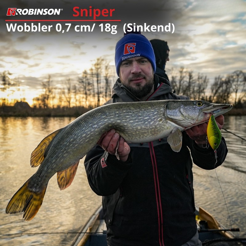 Robinson Fishing Lure for Large Predatory Fish - Jerkbait Wobbler,