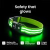 Tractive LED Light Up Dog Collar USB Rechargeable Waterproof (Green)