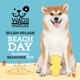 Wags & Wiggles Seahorse Floatable TPR Dog Toy - Pool & Lake Fun for Dogs, Squeaks - 5.5 Inch (FF21105)