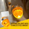 Alpha Rider Watermelon Lights with Stainless Steel Bracket， Amber LED