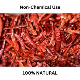 (113g / 4 oz) Red Thai Chili Peppers, Bag, Genuine Hot Whole Chilis, Dried Fresh for Cooking Asian Foods, Soups & Curry - by ANCIENT HERB