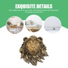 Veemoon Lightweight Lion Head Wall Decor Lion Head Wall Mount