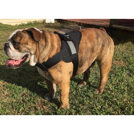 HDP Big Dog Soft No Pull Harness Size:XLarge Color:Black