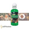 inSPAration Spa and Bath Aromatherapy 100HOLHSX Spa Liquid, 9-Ounce, Holiday