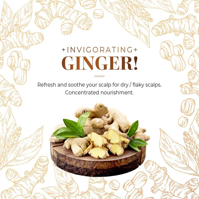 CP-1 Ginger Purifying Shampoo 100 ml Revitalising Treatment Ginger Root