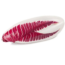 Endive Seeds - Red Treviso - 2 g Packet ~200 Seeds - Cichorium endivia - Farm & Garden Vegetable Gardening & Microgreens Seeds - Non-GMO, Heirloom, Open Pollinated, Annual