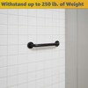 18" Stainless Steel Matte Black Restroom Grab Bar - Wall