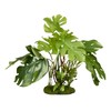 BLUE RIBBON PET PRODUCTS 030157017699 Colorburst Florals Split Leaf Philodendron,