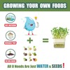 QISHENG - 4 Pack Microgreens Grow Kit,Soil-Free Cultivation Germination Tray,BPA-Free