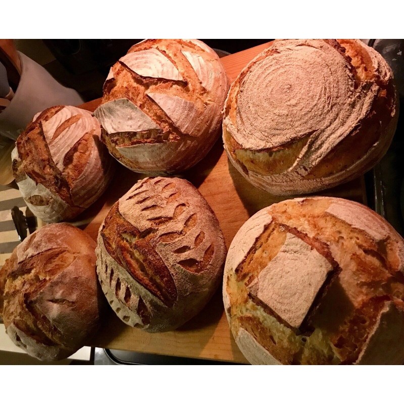 Heritage Sourdough DEHYDRATED SOURDOUGH STARTER ORGANIC SAN FRANCISCO 50+ Yrs
