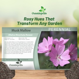 Outsidepride Rosea Musk Mallow Hollyhock Seeds - 2,000 Pcs Perennial, Long-Blooming, Heat & Drought Tolerant Flower Seeds with Tall, Shrubby Blooms for Cottage Gardens & Cut Flowers