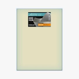Fabriano Artistico Paper Sheets, 4+1, Traditional White, Cold-Press, 300 lbs., 640gsm