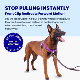 APDEXY Freedom No Pull Dog Harness, Designed for Hound Dog Train, Easy Walk with 2 Stainless D-Rings, Sewn-in Instructions Tags for Easy Use, for Large Dogs Weight 60-80 lbs (Purple, L)