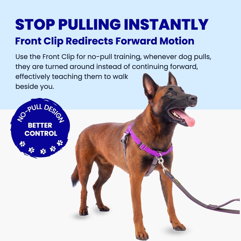 APDEXY Freedom No Pull Dog Harness, Designed for Hound Dog