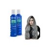 Shampoo Matizador Y Tratamiento Para Platinar Canas Y Mechas