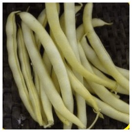 Everwilde Farms - 1/4 Lb Cherokee Wax Yellow Bean Seeds - Gold Vault