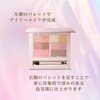 Visee 30th Glamorous Layered Palette 02 Handsome Glamour 13g Multi