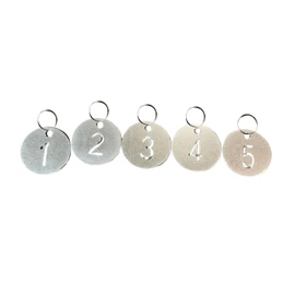 S.T.S.G Number Tag, Door, Stainless Steel, Double Sided, Number Tag, Cloak, Keyring, Locker, Door Number, Waterproof (Round, No. 1 to 5)