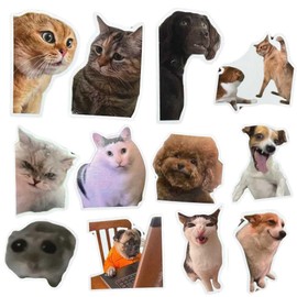 YJ PREMIUMS 12PC Funny Magnets Meme Animal Magnetic Magnet for Refrigerator Fridge Adults Work School Locker Office Car Bumper Decal Game r Kitchen Cute Cool Weird Fun Novelty Funky Gag Quirky Gifts