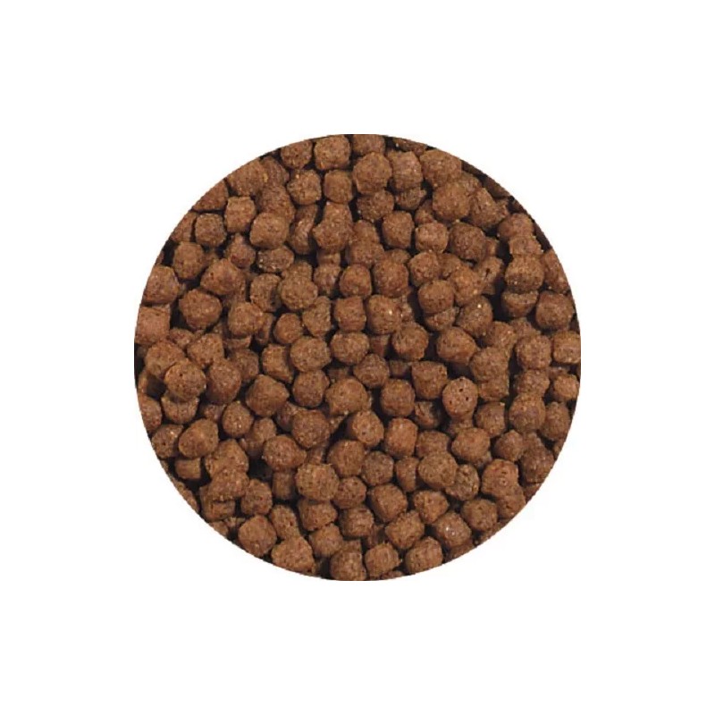 Blue Ridge Fish Hatchery Koi & Goldfish Food - Cool