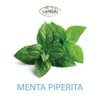 ACEITE ESENCIAL MENTA PIPERITA 30 ML.