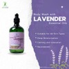 KKAB ECOCOCO Ecococo Natural Bodywash with Lavender Essential Oil
