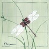 Ceramic Backsplash Tile Mural Butterfly Kitchen/Bathroom - Dragonfly - Paul
