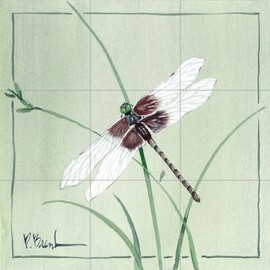 Ceramic Backsplash Tile Mural Butterfly Kitchen/Bathroom - Dragonfly - Paul Brent