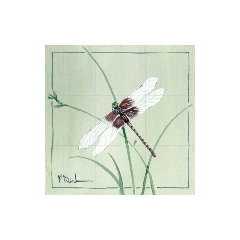 Ceramic Backsplash Tile Mural Butterfly Kitchen/Bathroom - Dragonfly - Paul