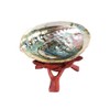Natural Abalone Shell with Wooden Display Stand for Smudging