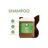 Shampoo Extracto Natural Romero Brillo Y Suavidad (5 Litros)
