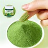 JAMBOSUN Super Green Powder - Organic Supplement with Snail Algae