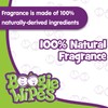 Boogie Wipes, Fresh Scent Wet Nose Wipes for Kids and