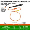 BeauGo| Slip Leads for Dogs | Dog Training Leash |