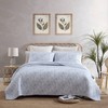 Tommy Bahama - Queen Quilt Set, Reversible Cotton Bedroom Decor with Matching Shams, Coastal Bedding with Textured Reverse (Distressed Water Leaves Blue, Queen)