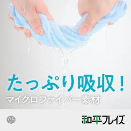 Wahei Freiz RE-7473 Kachikore Microfiber Dish Towels, Pack of 6