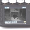 SIGHTRON STR-MiNi800 TT800 Cytron Trail Camera, Infrared, Unmanned Photography Camera