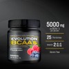 Evolution BCAA'S Aminoácidos en Polvo