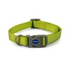 Ancol Viva Quick Fit Adjustable Collar Lime Collar Size 2-5
