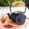 22oz/650ml suyika Japanese Tetsubin Cast Iron Teapot with Cast Iron
