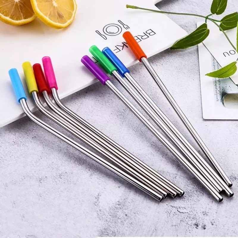 CL 4 Popotes Acero Inox 2 Escobillas De Limpieza Y