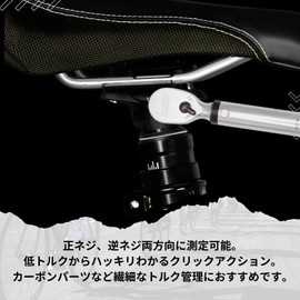 PWT Torque Wrench (1 - 25 Nm, Insertion Angle: 0.25 inches (6.35 mm) (1/4 inch)