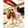 Soft Windproof Small Dog Coat: Puppy Pullover Warm Dog Clothes