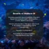 Brightwell Aquatics Vitamarin M - Liquid Multivitamin Supplement for Marine