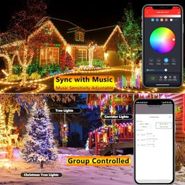 iBaycon Smart Color Changing Christmas Lights, 66FT 200 LED RGB Christmas Tree Lights Remote & App Controlled String Lights for Outdoor Indoor Christmas Decorations