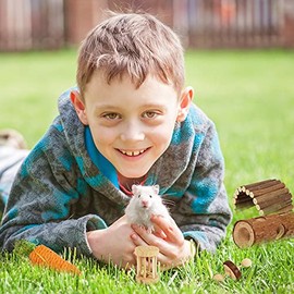 Sofier Juguetes y accesorios para hámster, 8 unidades, juguetes para masticar para dientes, escalera de madera natural, puentes, hámster, escondite de hámster, juguetes de animales pequeños, para rata, enano, hámster, loro, gerbil
